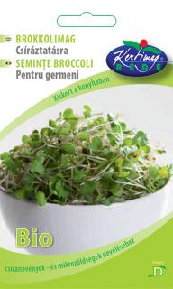 Brokkoli mag - Bio csíra - Csíráztatás